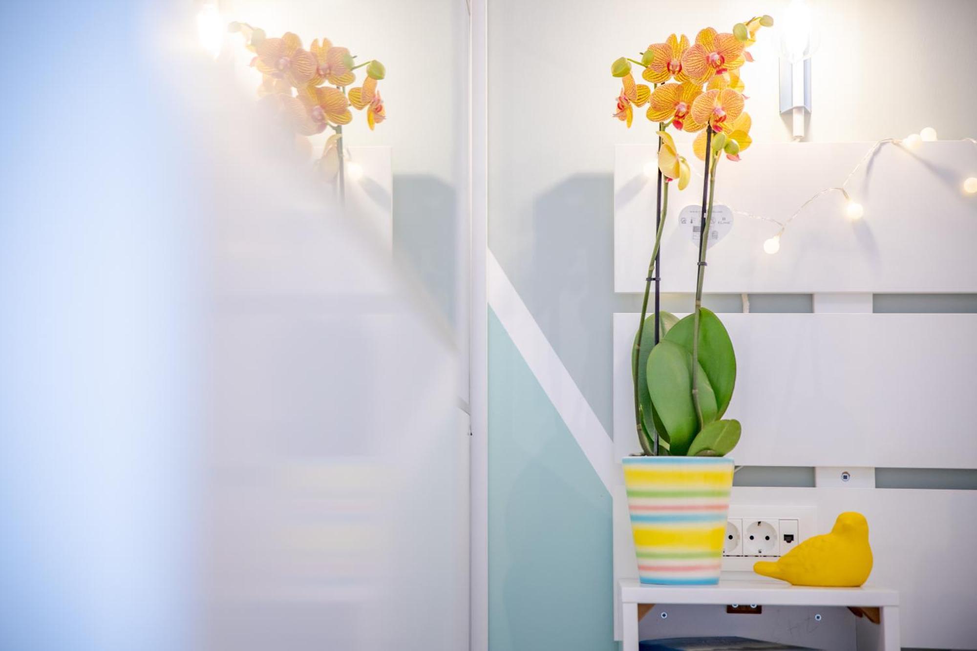 Apartament Oasis By The Sea *